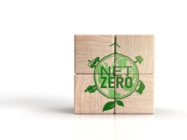 Net Zero 360 is a simple, easy to access training programme designed specifically for SME sized businesses. Our fully funded one day workshop will set you on your very own journey to Net Zero. Places are limited, so book early.