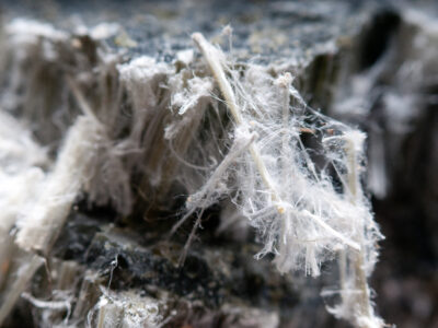Close-up image of asbestos fibres under magnification, showing their fine, needle-like structure.